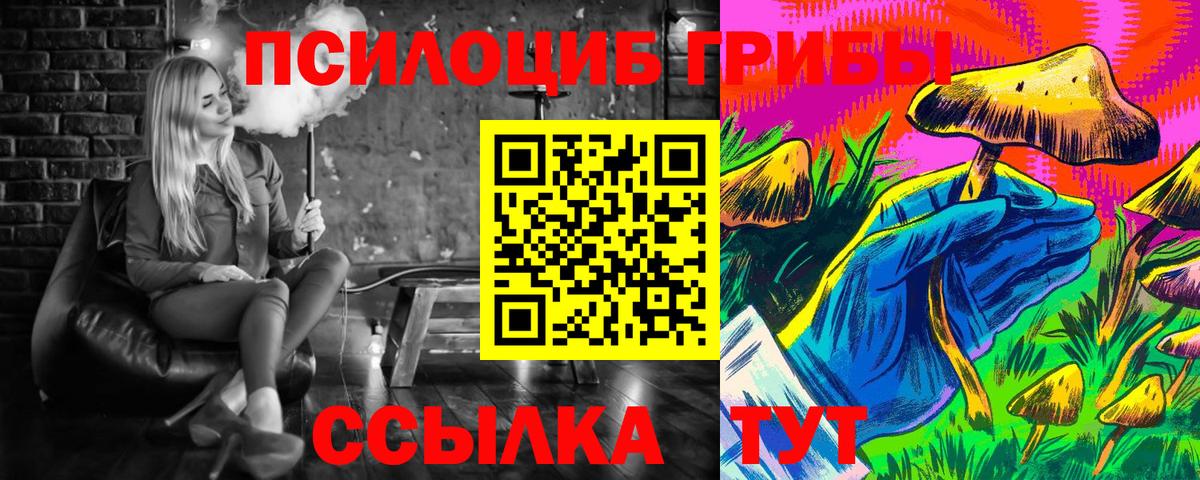 где можно купить наркотик  Псилоцибиновые грибы MAGIC MUSHROOMS  Владимир  Вход с VPN  Псилоцибиновые грибы GOLDEN TEACHER 