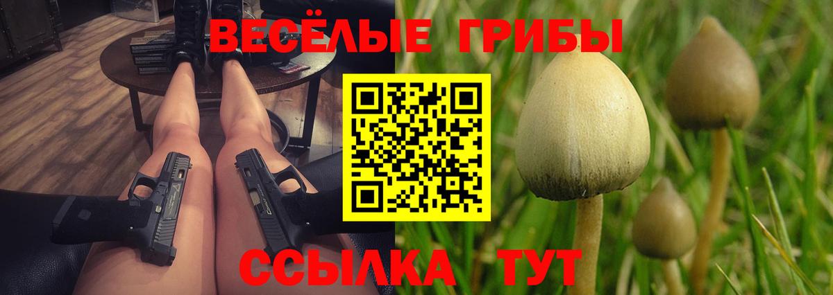 Галлюциногенные грибы прущие грибы Владимир